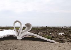 有愛!無礙~寬廣自在