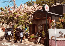 木造與花木自然地令人嚮往(圖/大崎兒童藝術圖書館提供)