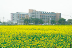 在一片綠油油田地裡冒出頭的明道大學。