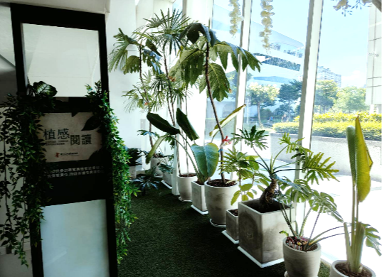 充滿綠意的角落空間-「植感閱讀」專區