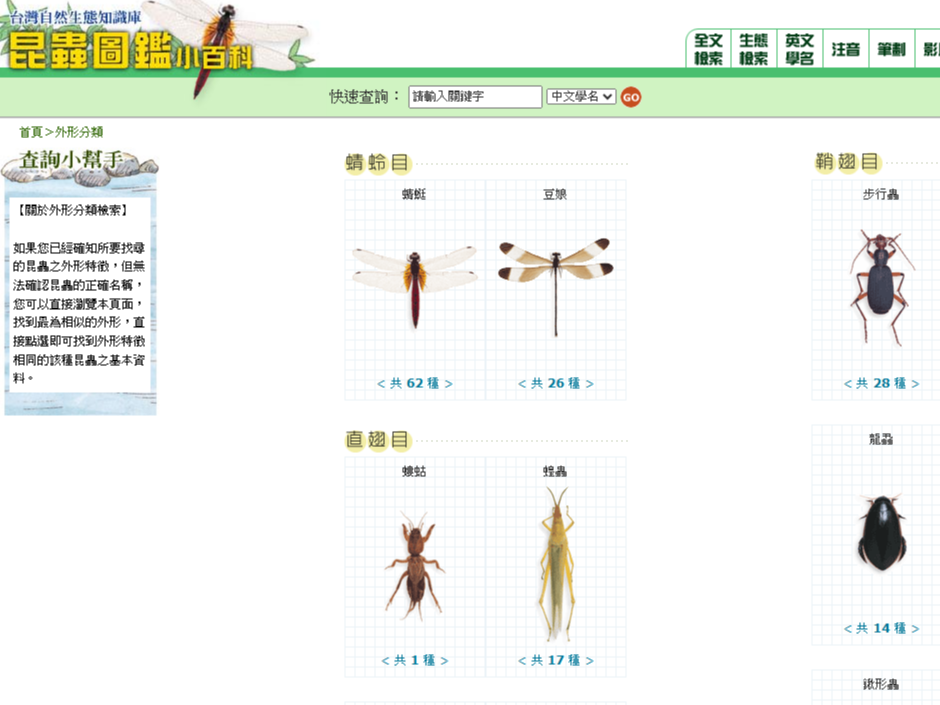 昆蟲圖鑑小百科