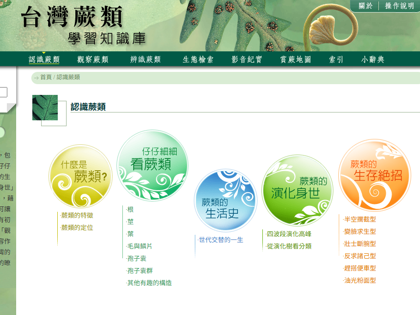 臺灣蕨類學習知識庫